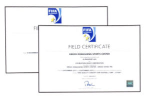 Cert-fifa-1-2-stars