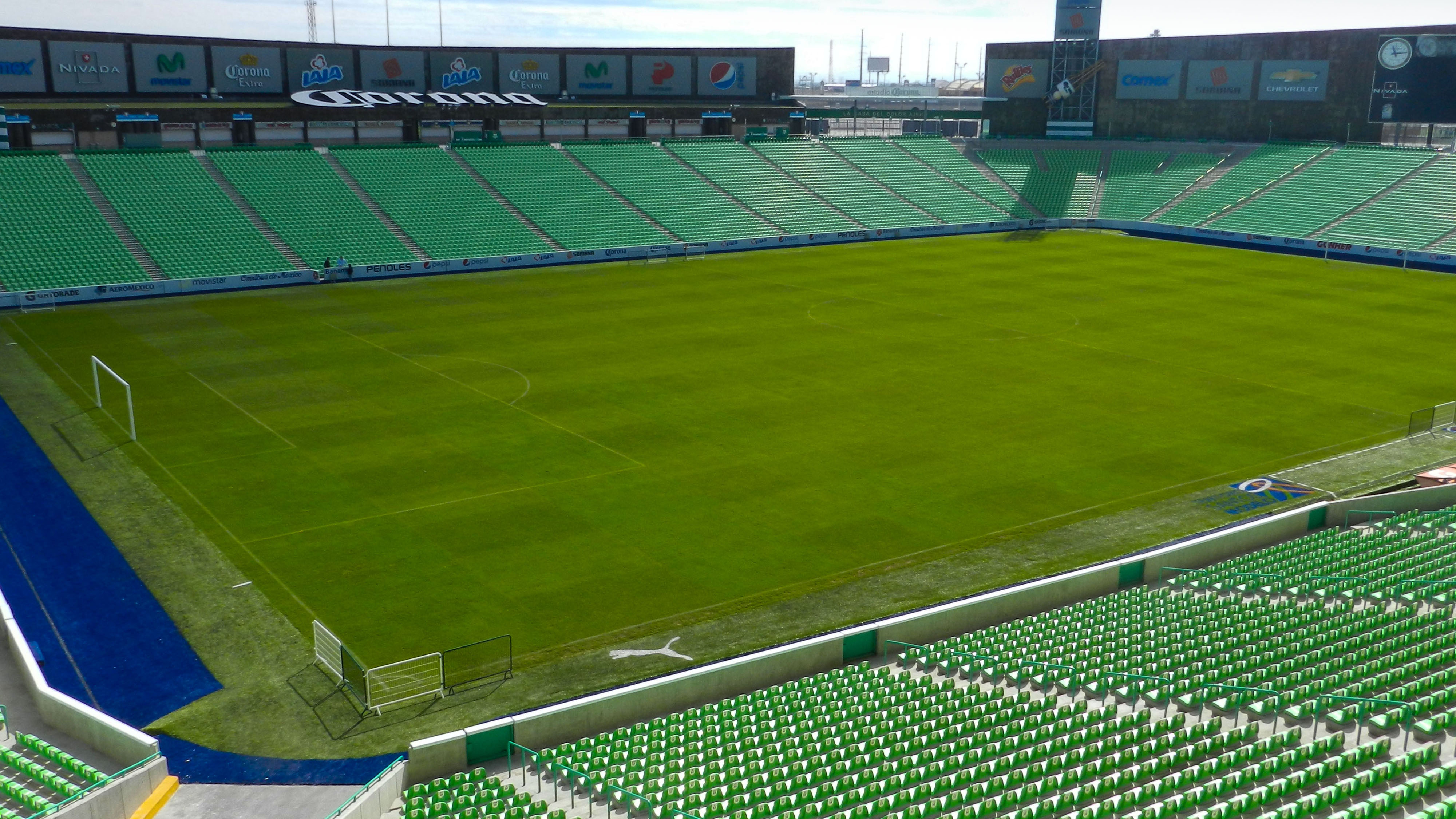 pasto-deportivo-maxima-calidad