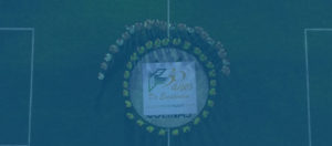 Video de aniversario, Video corporativo, video empresarial