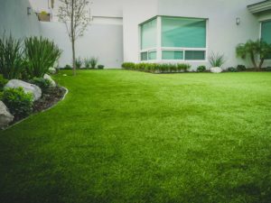 pasto-residencial